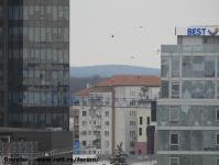Imagine atasata: Openville - 2019.02.02 - 07.jpg